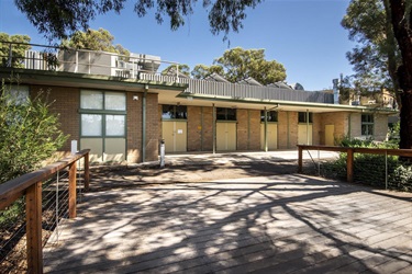 Area under the gum trees looking back towards 4 doors of the main hall