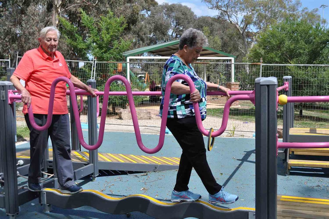 Ivanhoe Park Seniors Exerciser Park