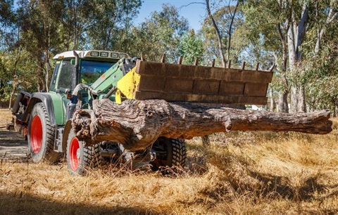 Tractor carrying a large tree trunk