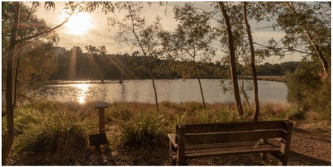 Bench by lake