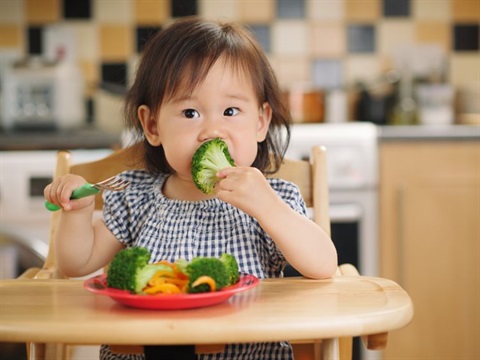 Child eating lunch