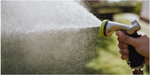Hose spraying a garden