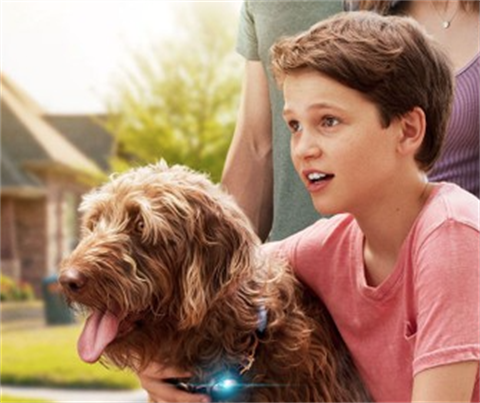 Think Like a Dog movie poster