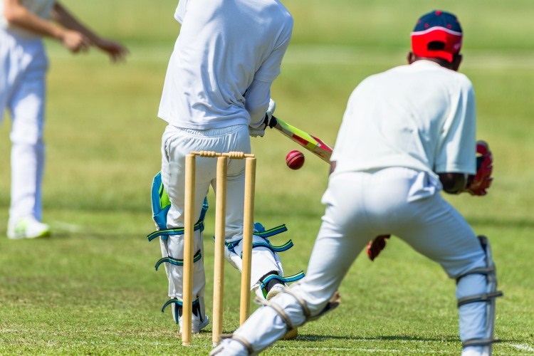 Cricket batting and wicket