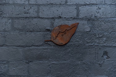 Belonging
